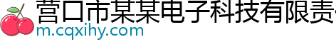 营口市某某电子科技有限责任公司